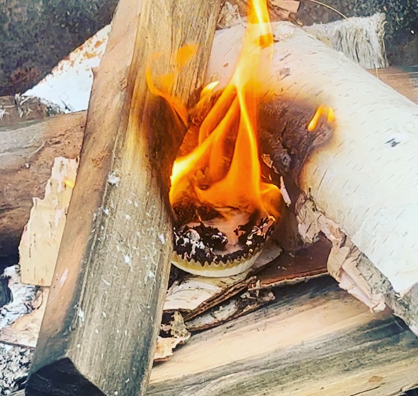6 Pack of Hand Poured Fire Starters